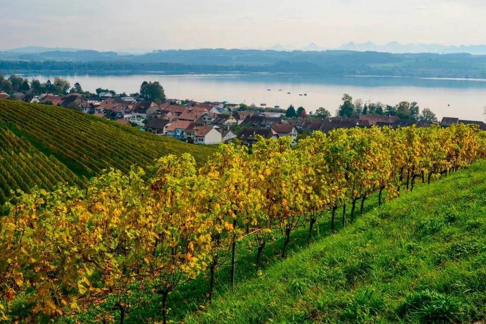 Villa nuova di 7,5 locali con vista panoramica sul lago di Morat – foto 19 di 19