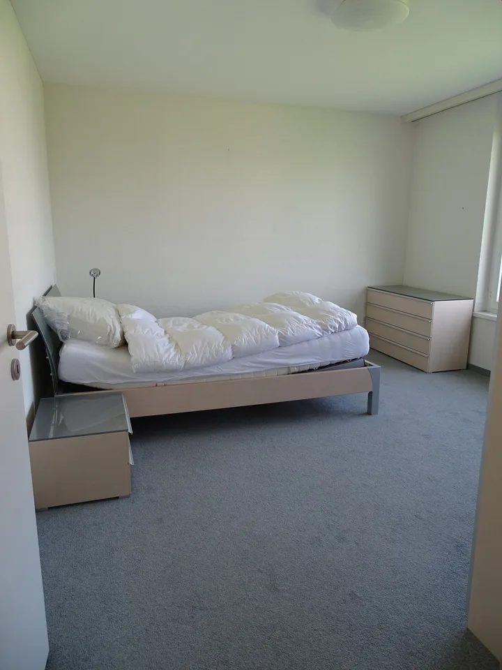 Moderne 4.5-Zimmer-Wohnung mit Balkon in Altstaetten SG – Foto 8 von 16