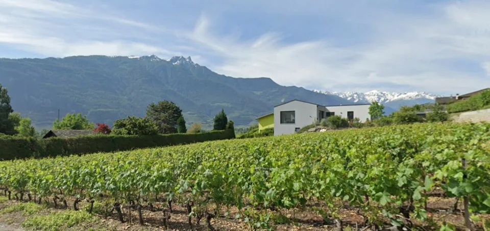 A2 - Les Vignobles de l'Arche - 3,5 Zimmer mit Garten (Parzelle 2 im Erdgeschoss) – Foto 6 von 13