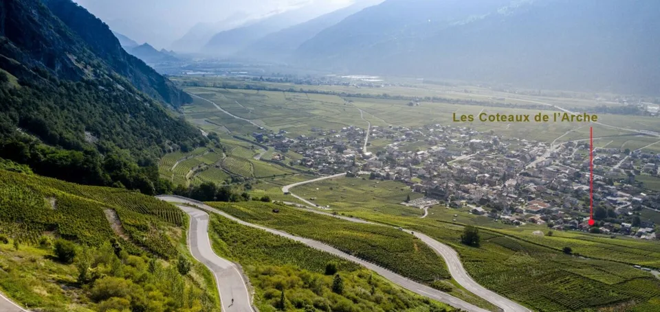 A2 - Les Vignobles de l'Arche - 3,5 Zimmer mit Garten (Parzelle 2 im Erdgeschoss) – Foto 8 von 13