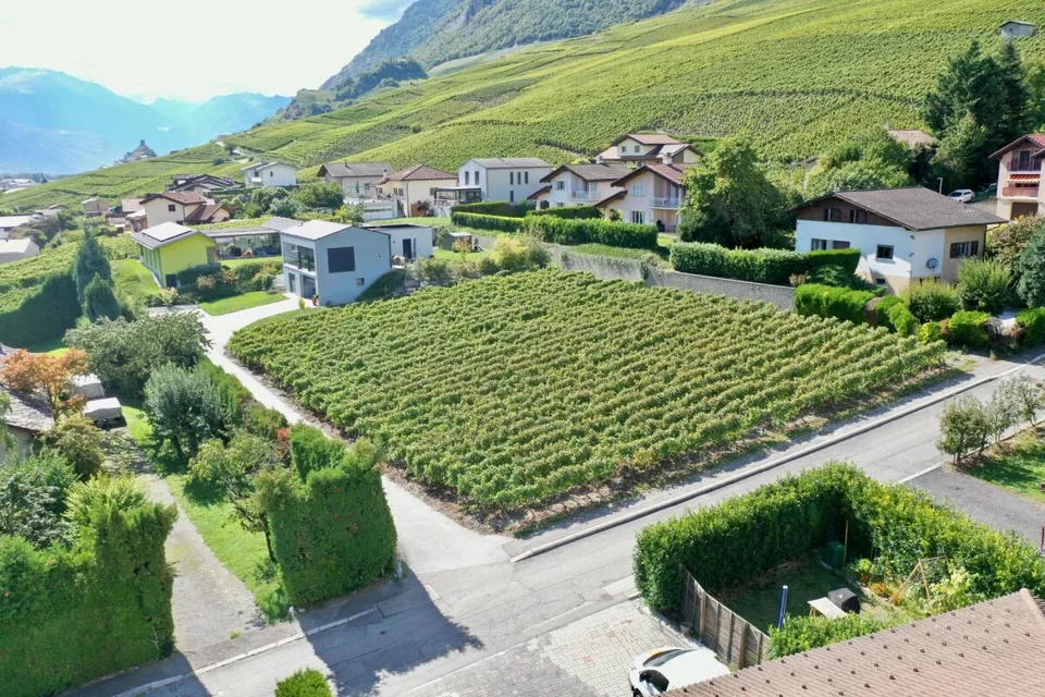 A2 - Les Vignobles de l'Arche - 3,5 Zimmer mit Garten (Parzelle 2 im Erdgeschoss) – Foto 5 von 13