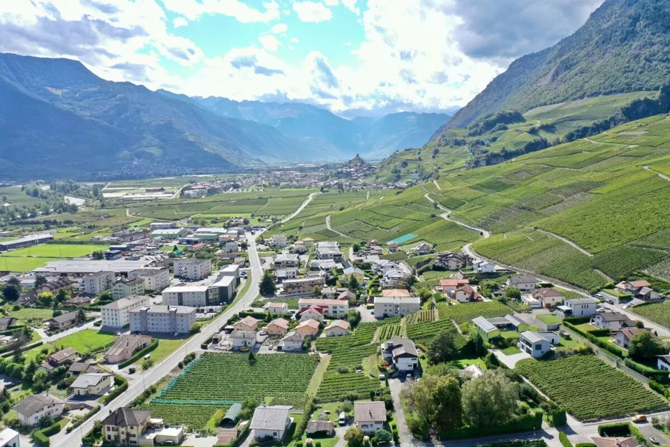 A2 - Les Vignobles de l'Arche - 3,5 Zimmer mit Garten (Parzelle 2 im Erdgeschoss) – Foto 7 von 13