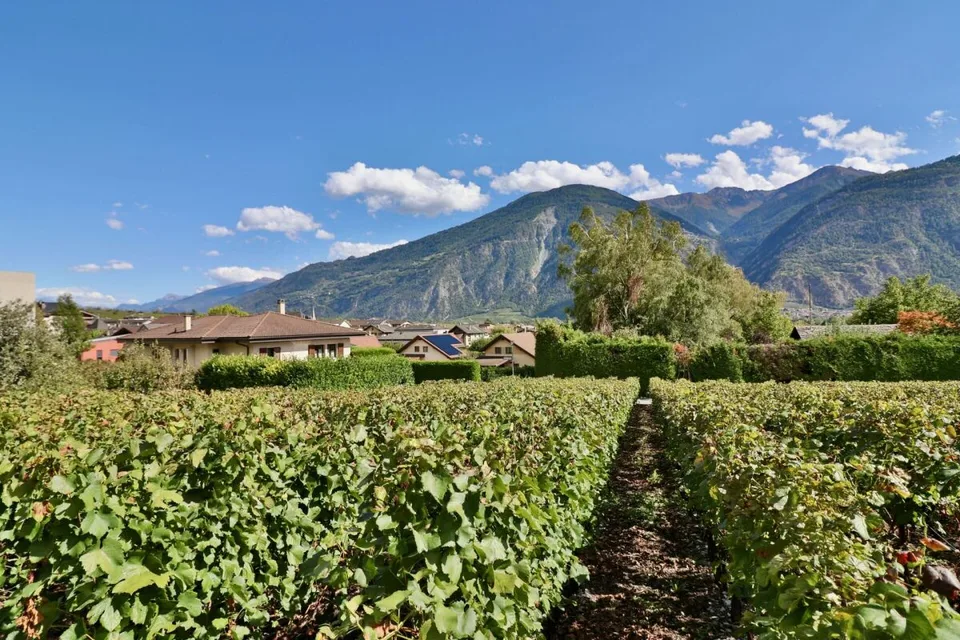 A3 - Les Vignobles de l'Arche - Attika 3.5 Räume – Foto 7 von 13