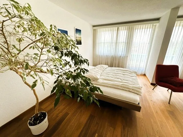 Attraente casa unifamiliare di 5,5 locali in una zona residenziale tranquilla, elevata e soleggiata – foto 12 di 20