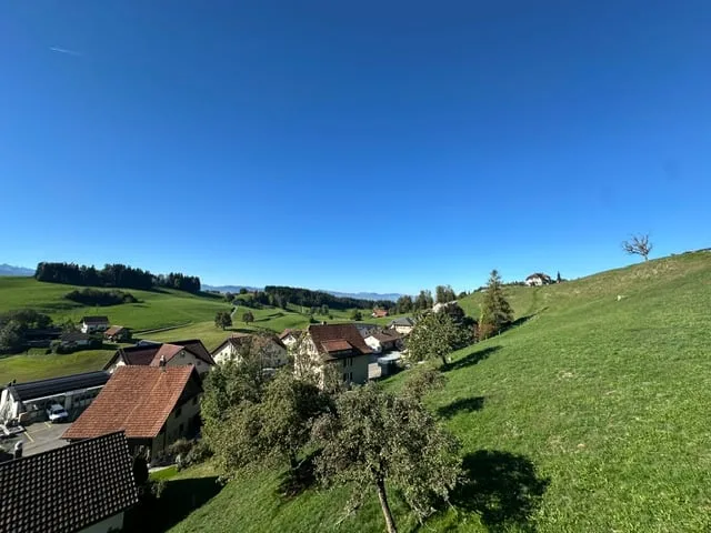 6 1/2-PIÈCES MAISON UNIFAMILIALE / SOLEIL / NATURE / APPARTEMENT POUR PERSONNE ÂGÉE – photo 3 sur 10