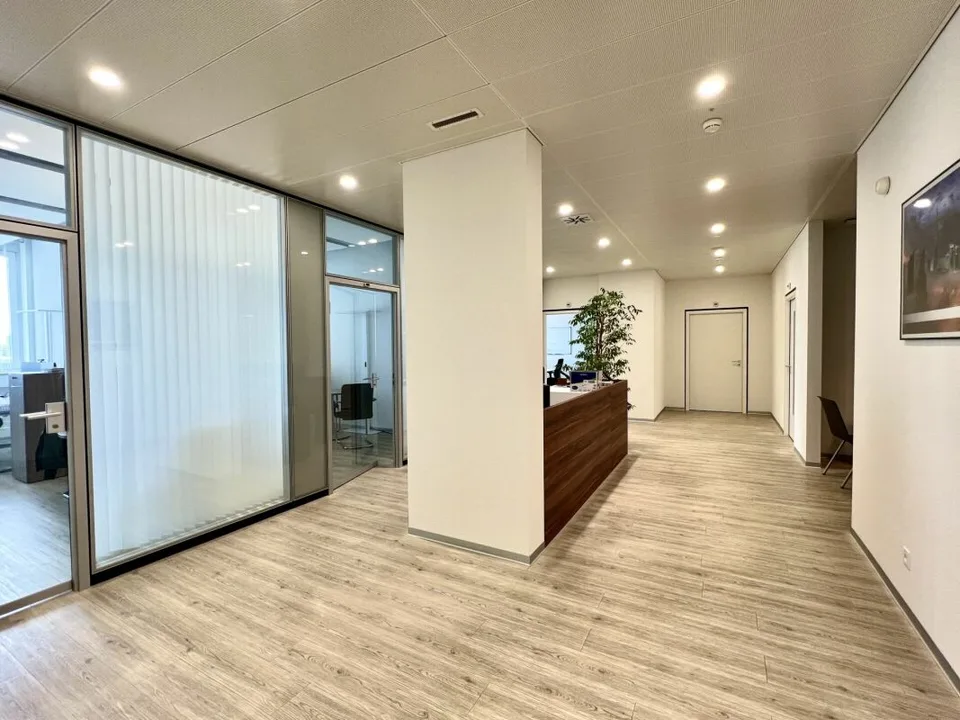 Trasferirsi e decollare nel Stücki Business Park – foto 3 di 14