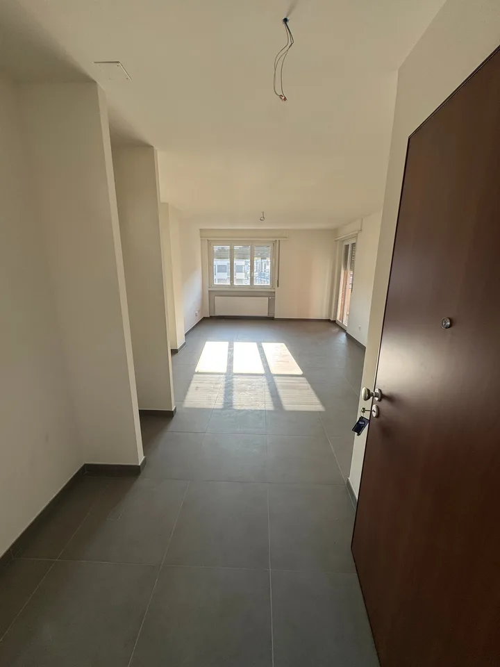 Attico in affitto a Chiasso – Vista panoramica e comfort moderno – foto 2 di 10