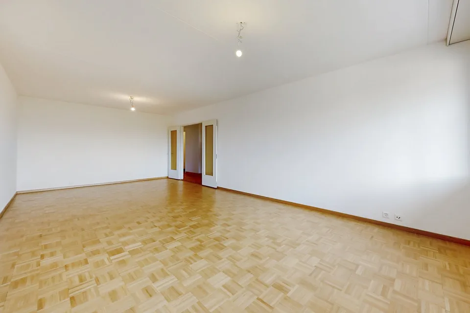 Appartamento per creare il vostro nido familiare a Petit-Lancy – foto 2 di 10