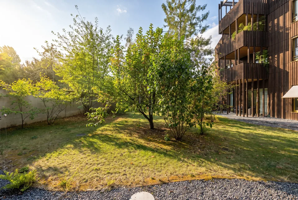 2.5 Zimmer Wohnung in Basel – Foto 3 von 12