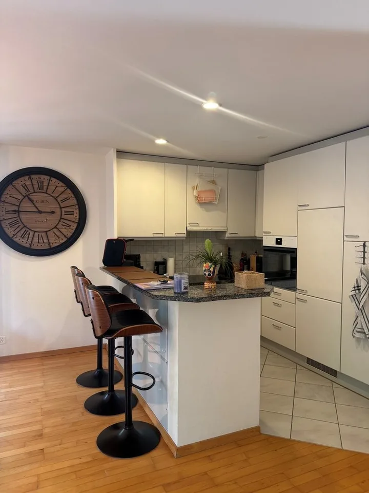 Affascinante appartamento di 3,5 locali ad Affoltern Zürich in affitto – foto 3 di 12