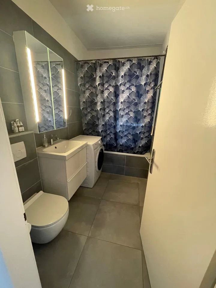 Wohnung 4.5 in Bellinzona 1850 alles inklusive – Foto 5 von 5