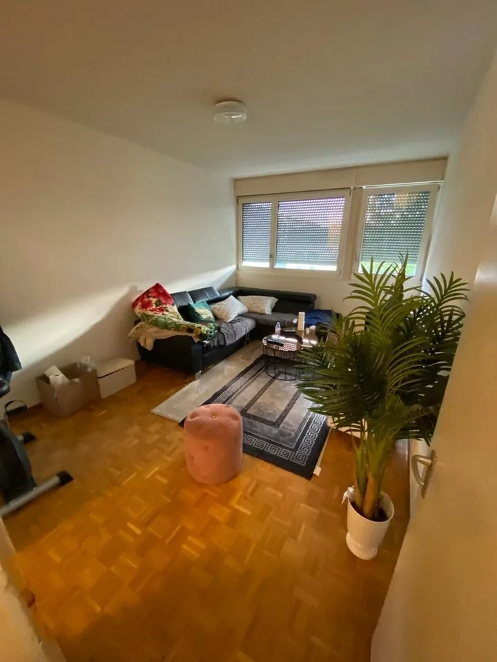Zu ergreifen! Wunderschönes Studio ideal in Vernier gelegen! – Foto 3 von 5