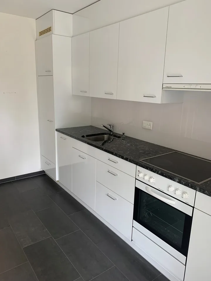 Appartement ensoleillé 2 pièces avec grand balcon – photo 3 sur 10