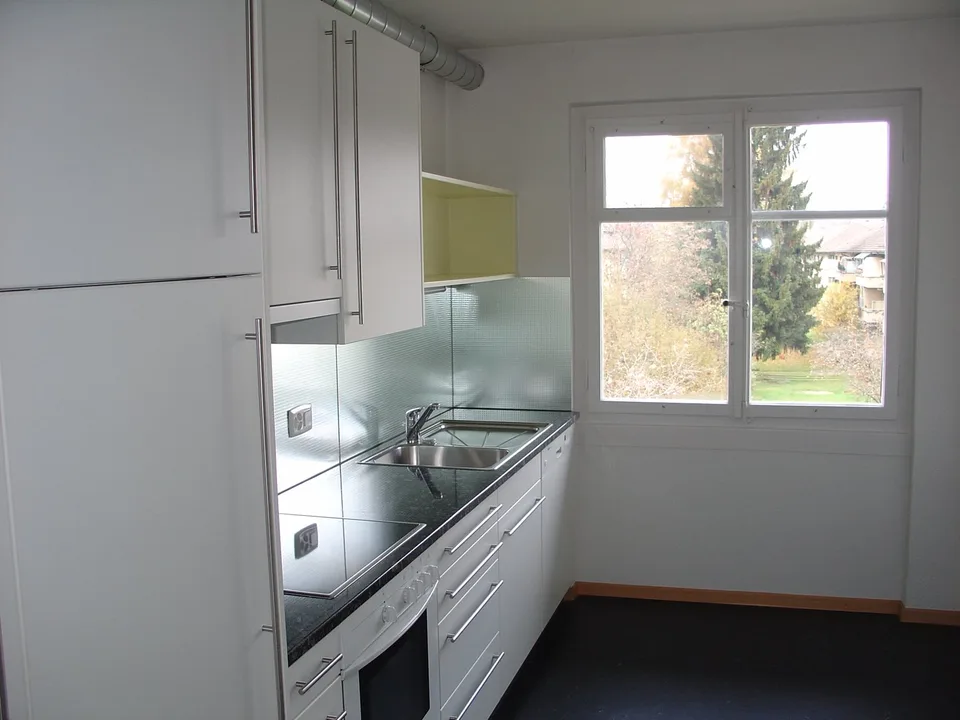 Newly renovated 3.5-room apartment for rent – photo 3 of 10