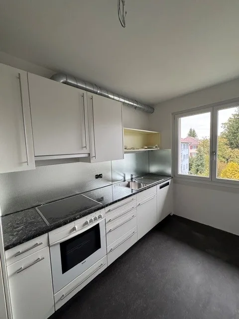 Newly renovated 3.5-room apartment for rent – photo 2 of 10