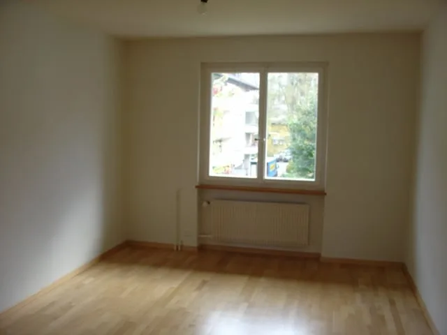 Newly renovated 3.5-room apartment for rent – photo 5 of 10