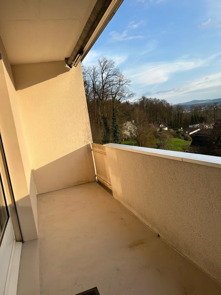 Helle 4.5-Zimmer-Erdgeschosswohnung mit Balkon in Dottikon – Foto 7 von 7