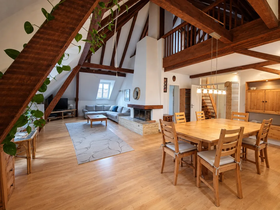 Appartamento in maisonette con grande terrazza sul tetto, proprio nel cuore di Gundeli! – foto 4 di 11