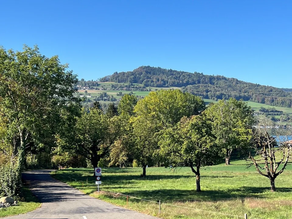 Sul lato soleggiato del lago di Hallwil appartamento 4 ½ locali a Tennwil – foto 6 di 6