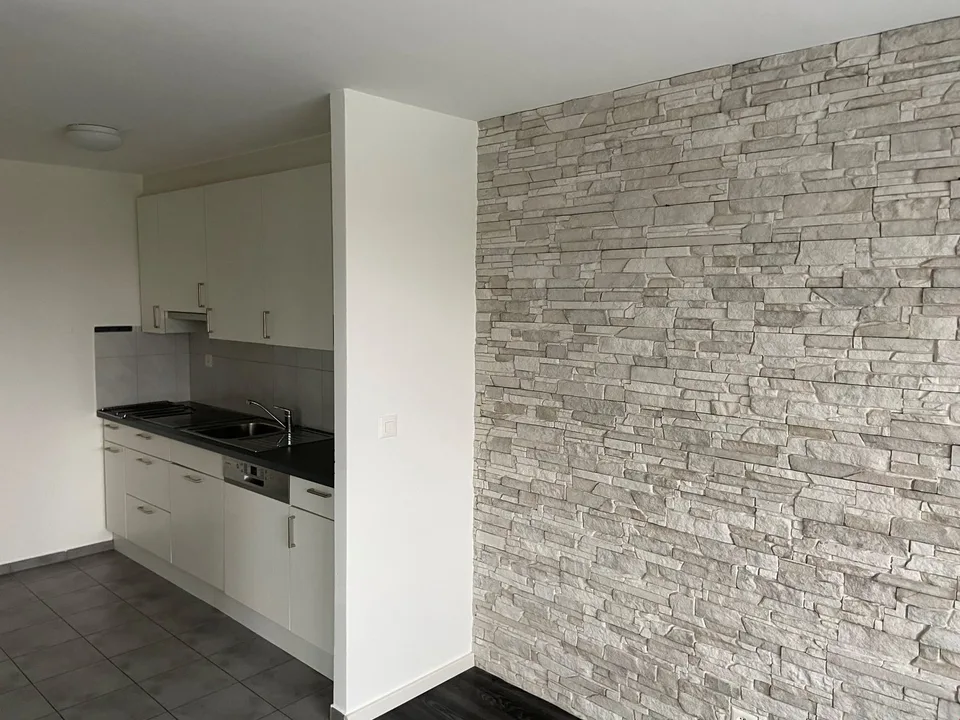 Appartement 4.5 pièces lumineux avec grande terrasse à louer – photo 8 sur 11