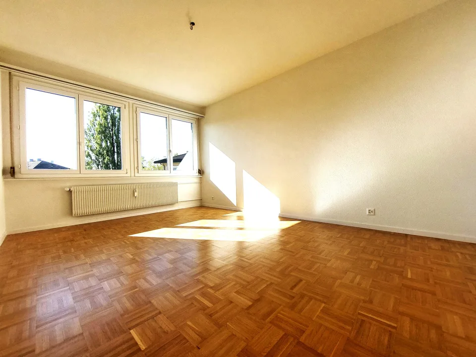 Appartamento di 2 camere frescamente ristrutturato con balcone – foto 6 di 8