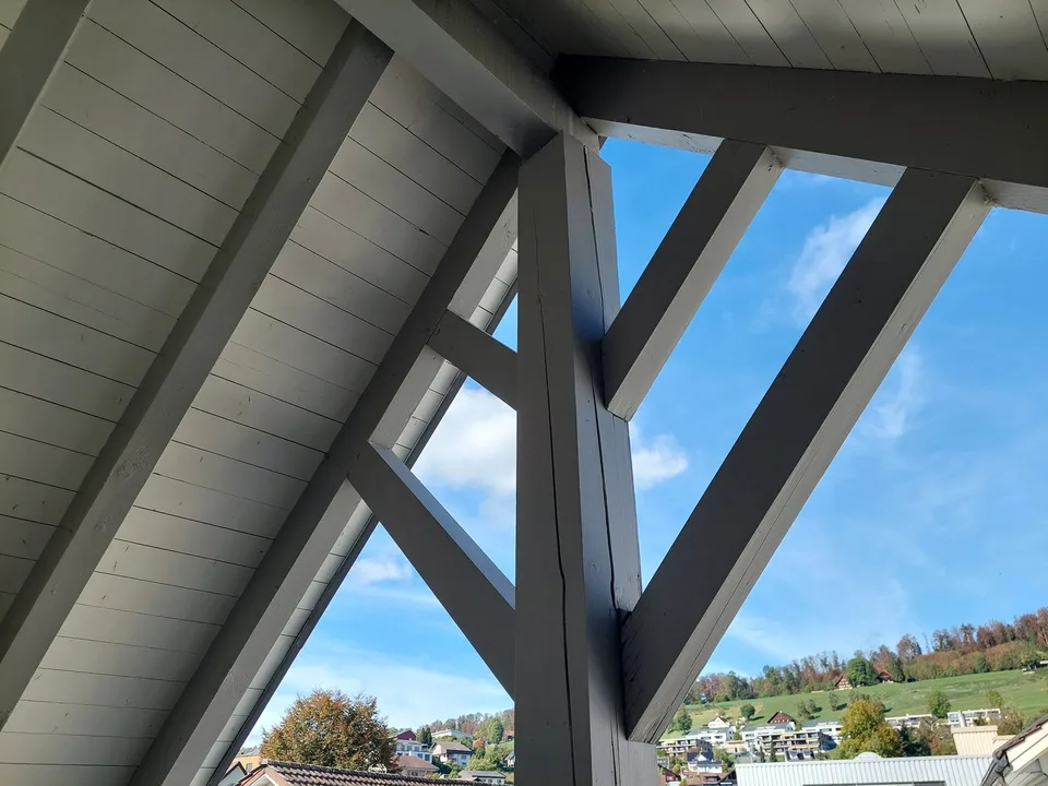 Appartement maisonnette spacieux avec galerie au cœur d'Eschenbach – photo 21 sur 25
