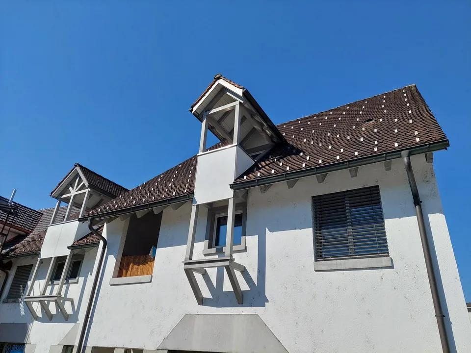 Appartement maisonnette spacieux avec galerie au cœur d'Eschenbach – photo 24 sur 25