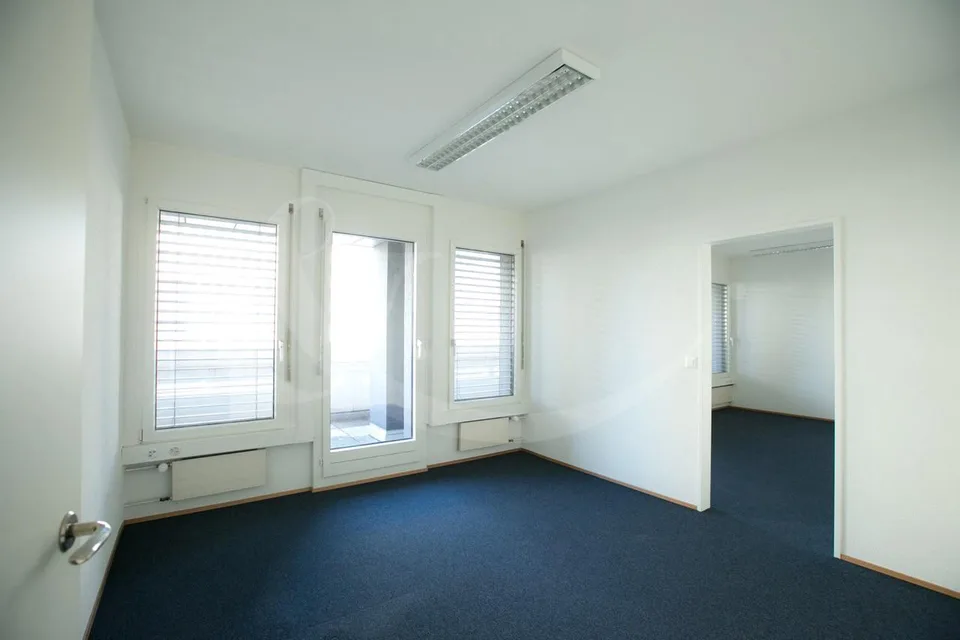Rue de Vermont 62, spazio professionale luminoso di 478 m2 – foto 4 di 9