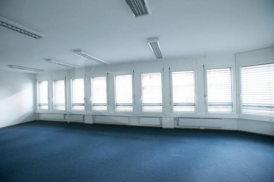 Rue de Vermont 62, spazio professionale luminoso di 478 m2 – foto 3 di 9