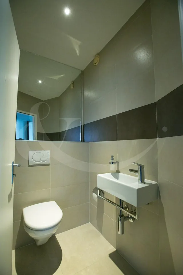 Rue de Vermont 62, spazio professionale luminoso di 478 m2 – foto 8 di 9