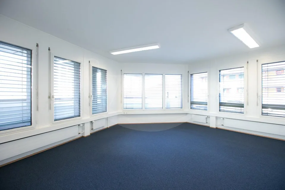 Rue de Vermont 62, spazio professionale luminoso di 478 m2 – foto 2 di 9