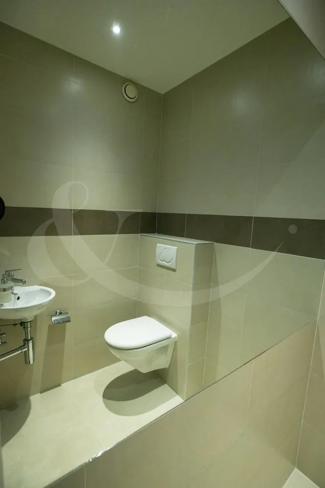 Rue de Vermont 62, spazio professionale luminoso di 478 m2 – foto 7 di 9
