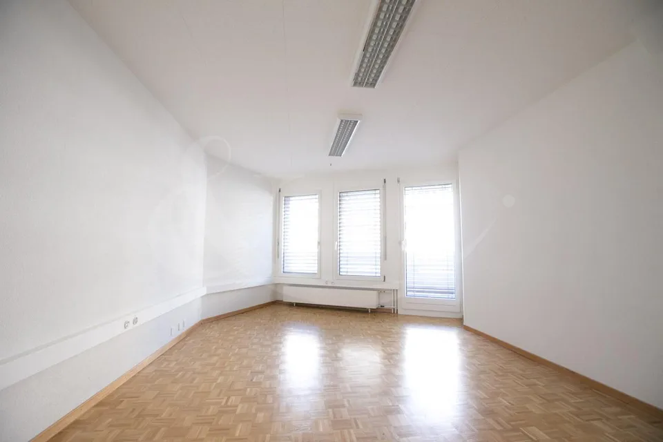 Rue de Vermont 62, spazio professionale luminoso di 478 m2 – foto 5 di 9