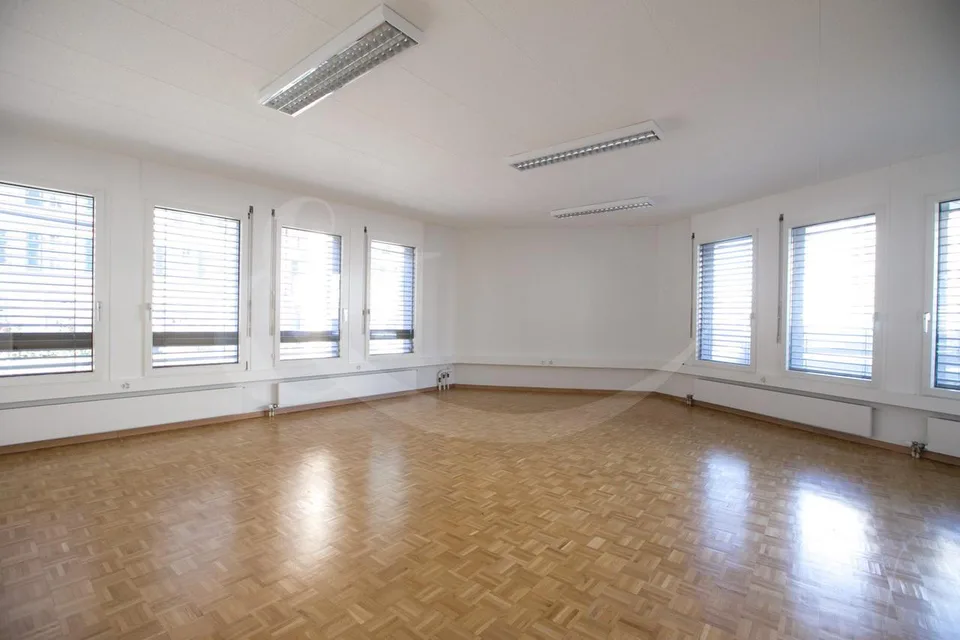 Rue de Vermont 62, spazio professionale luminoso di 478 m2 – foto 6 di 9