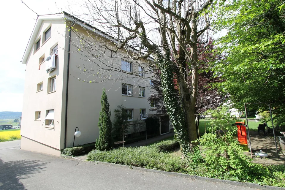 2.5 rooms with a dreamy view in Bettlach – photo 12 of 12