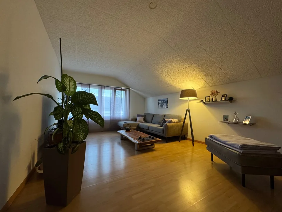 2.5 rooms with a dreamy view in Bettlach – photo 4 of 12