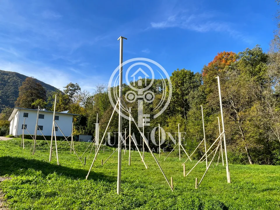 Exklusives Baugrundstück in Arcegno – bewilligtes Projekt für 4 Villen – Foto 4 von 9