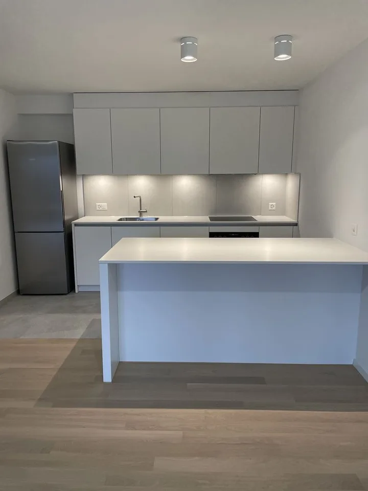 Appartamento 2.5 locali a Höngg – foto 2 di 11