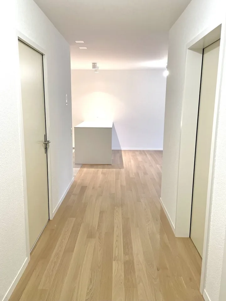Appartamento 2.5 locali a Höngg – foto 5 di 11