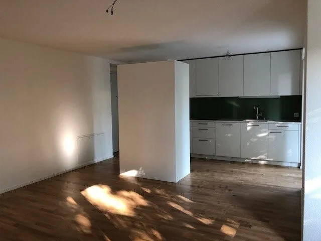 Appartement moderne à Thalwil (habitation sans voiture) – photo 2 sur 6
