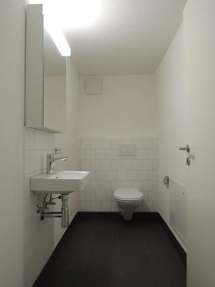 Appartement moderne à Thalwil (habitation sans voiture) – photo 5 sur 6