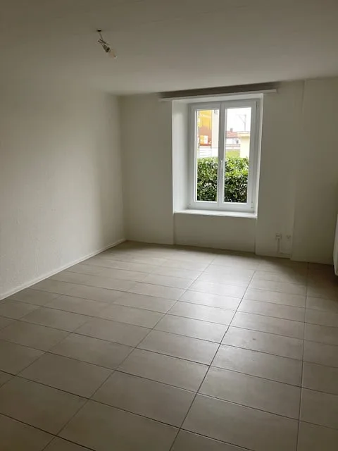 Bello appartamento di 2 locali con spazio esterno a La Neuveville – foto 7 di 9