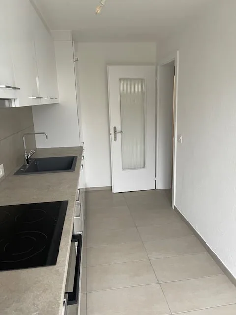 Bello appartamento di 2 locali con spazio esterno a La Neuveville – foto 2 di 9