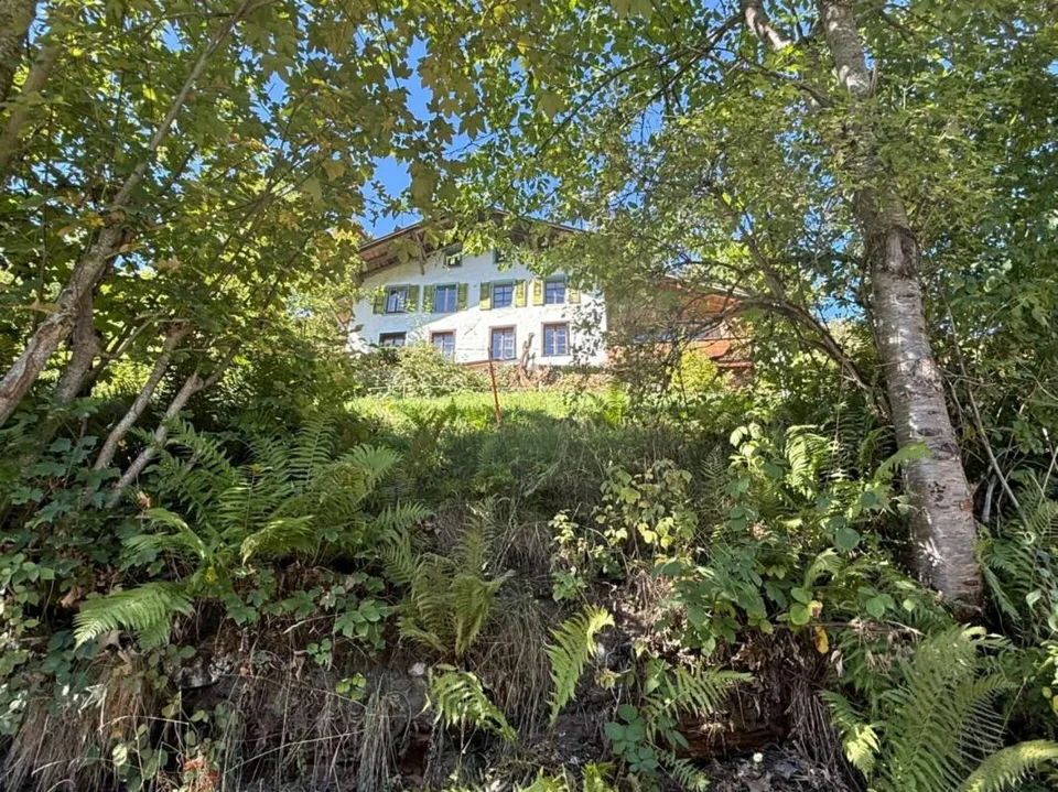Unique opportunity in Lauterbrunnen - Agricultural property with residential house, barn, and three additional plots – photo 2 of 14