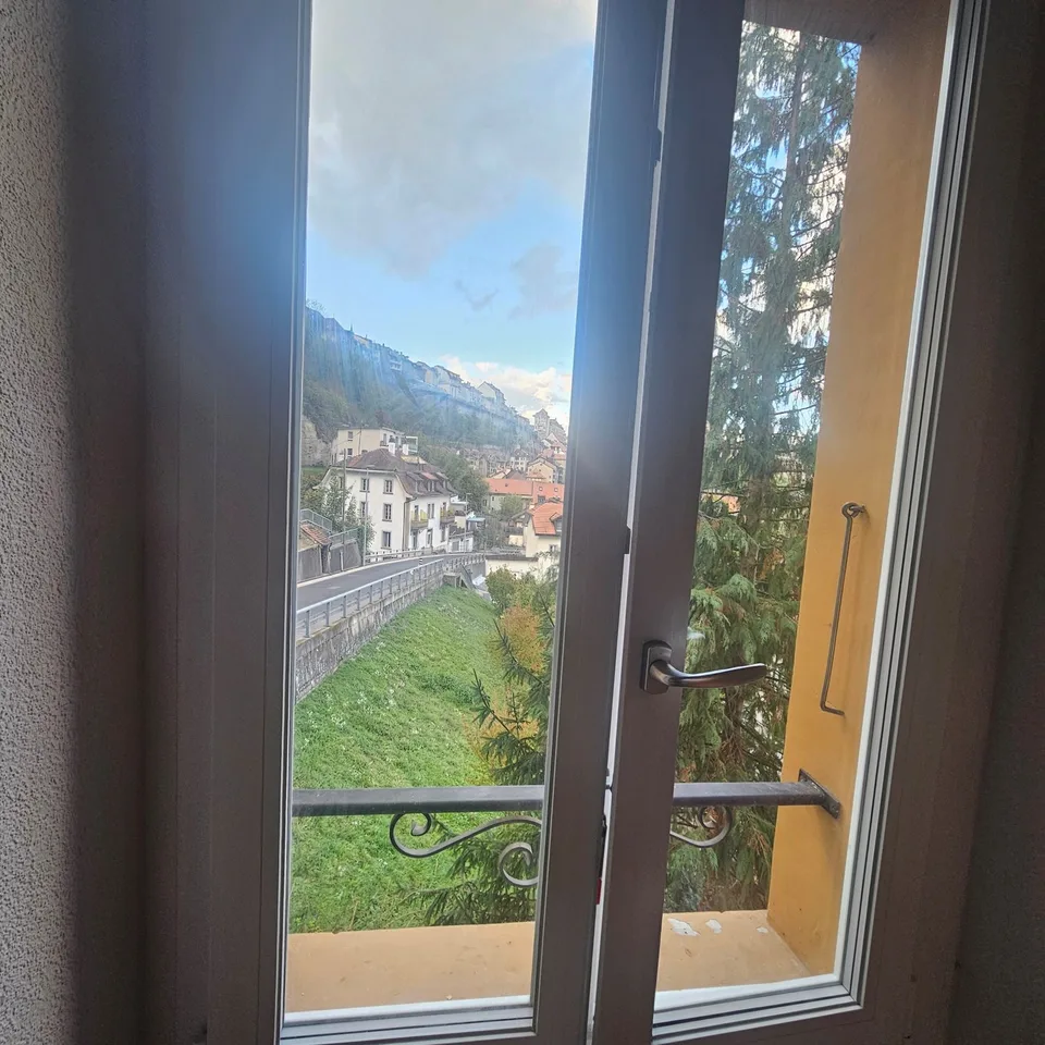 Appartamento affascinante nel centro storico di Friburgo – foto 5 di 6