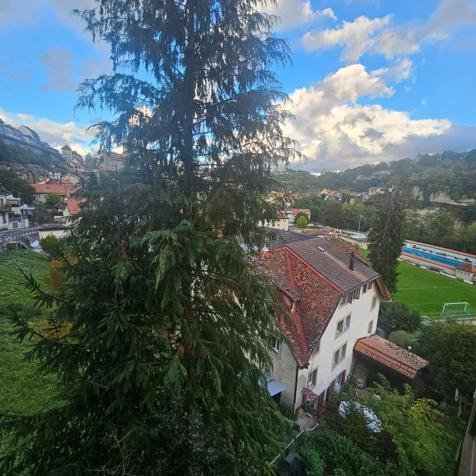 Appartamento affascinante nel centro storico di Friburgo – foto 6 di 6