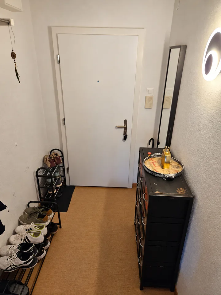 2½ ZI-WOHNUNG IN ZÜRICH - KREIS 3 TRIEMLI, MÖBLIERT, TEMPORÄR – Foto 5 von 7
