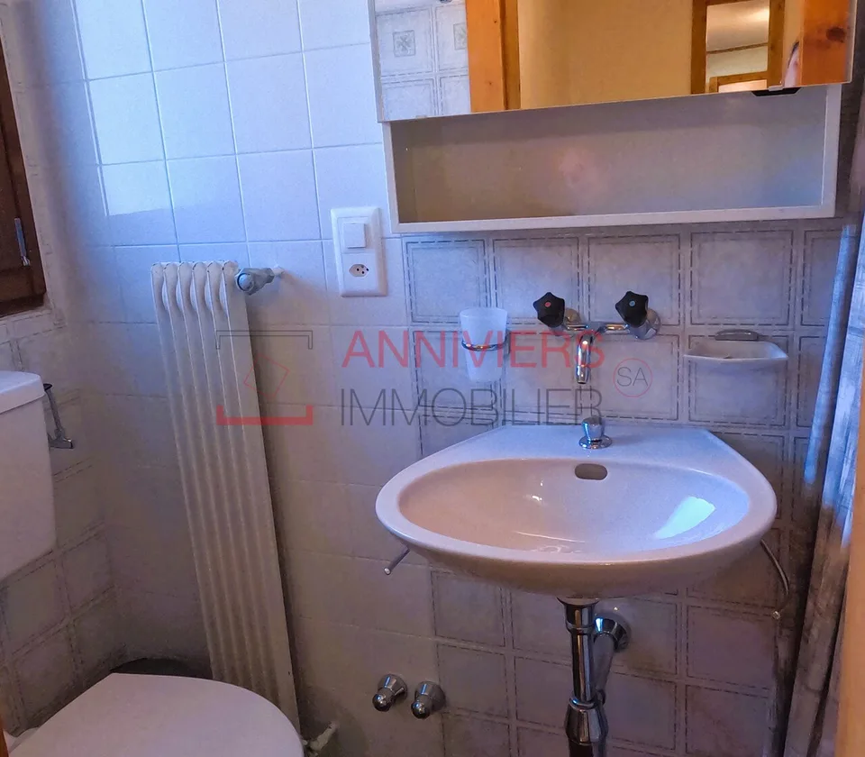 Mini studio ai piedi degli impianti di risalita a Grimentz – foto 7 di 12
