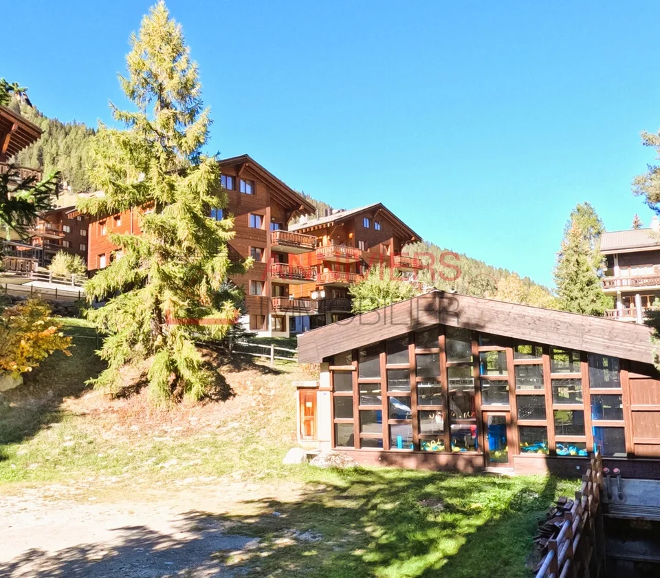Mini studio ai piedi degli impianti di risalita a Grimentz – foto 10 di 12