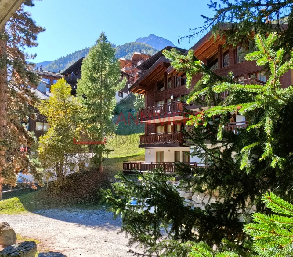 Mini studio ai piedi degli impianti di risalita a Grimentz – foto 8 di 12